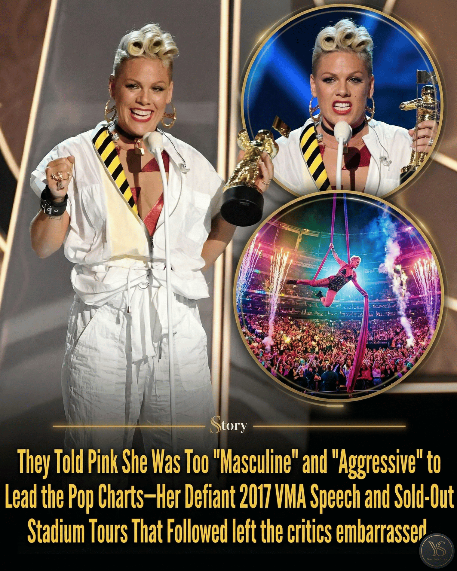 They Told Pink She Was Too “Masculine” and “Aggressive” to Lead the Pop Charts—Her Defiant 2017 VMA Speech and Sold-Out Stadium Tours That Followed left the critics embarrassed.