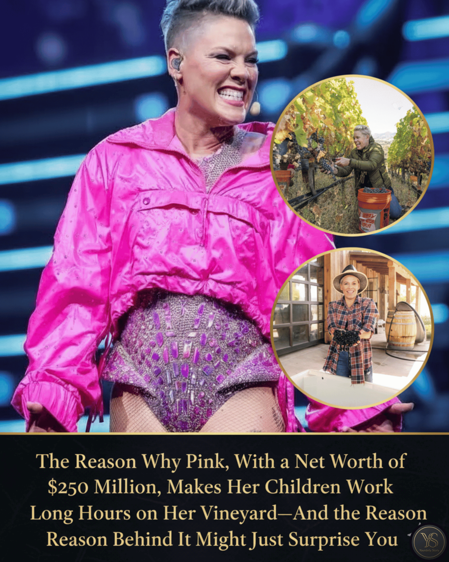 The Reason Why Pink, With a Net Worth of $250 Million, Makes Her Children Work Long Hours on Her Vineyard—And the Reason Behind It Might Just Surprise You