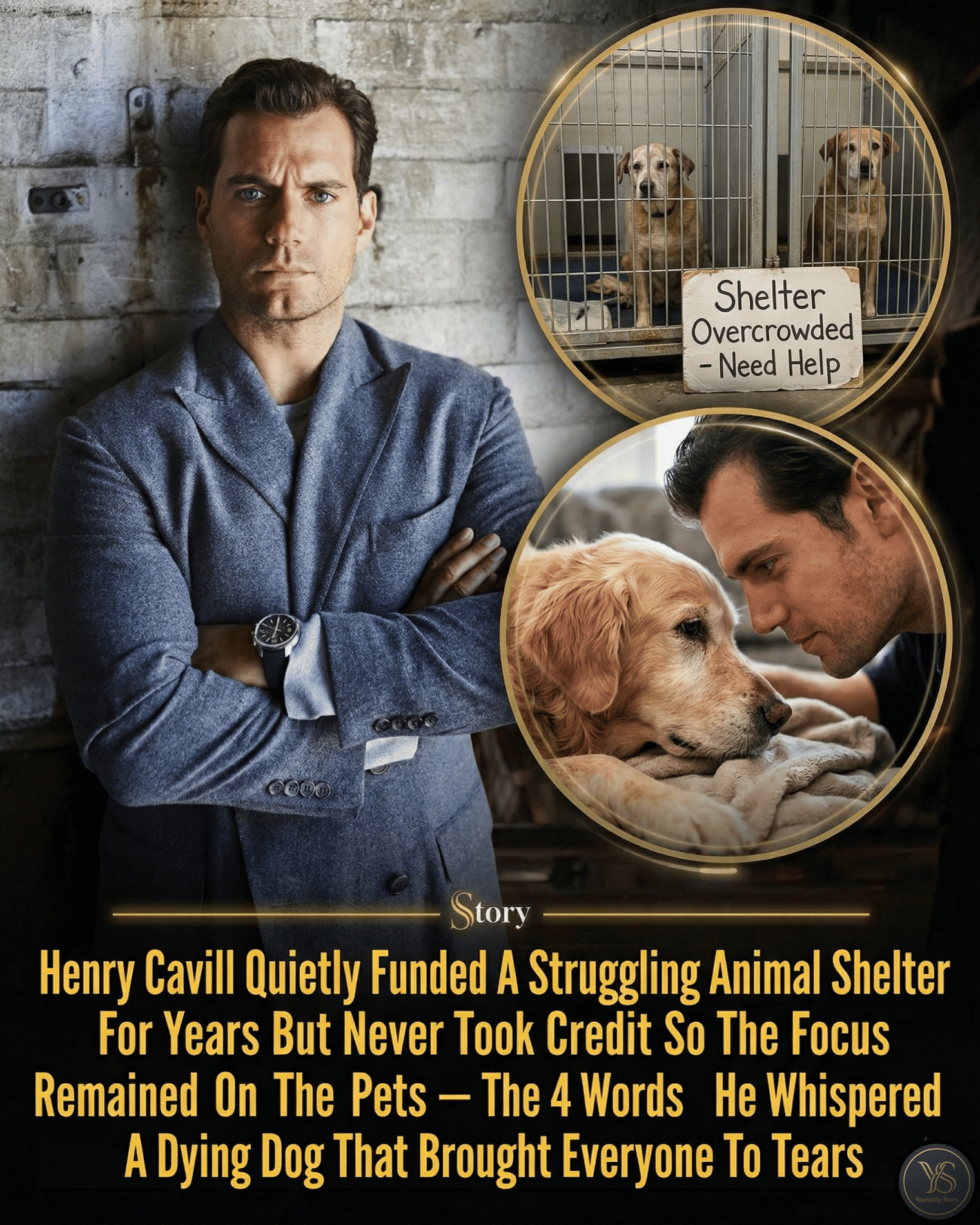 Henry Cavill Quietly Funded A Struggling Animal Shelter For Years But Never Took Credit So The Focus Remained On The Pets — The 4 Words He Whispered To A Dying Dog That Brought Everyone To Tears