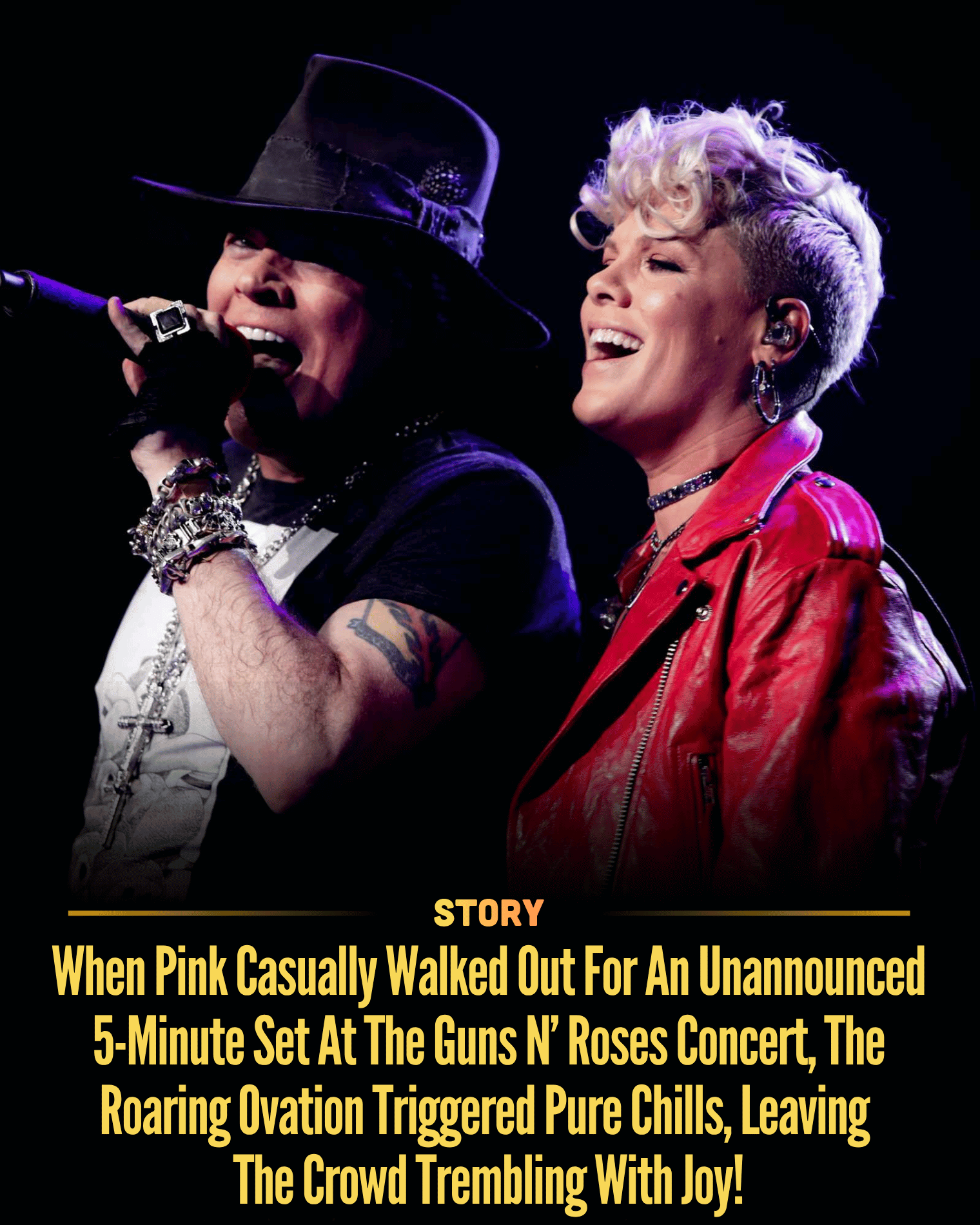 When Pink Casually Walked Out For An Unannounced 5-Minute Set At The Guns N’ Roses Concert, The Roaring Ovation Triggered Pure Chills, Leaving The Crowd Trembling With Joy!