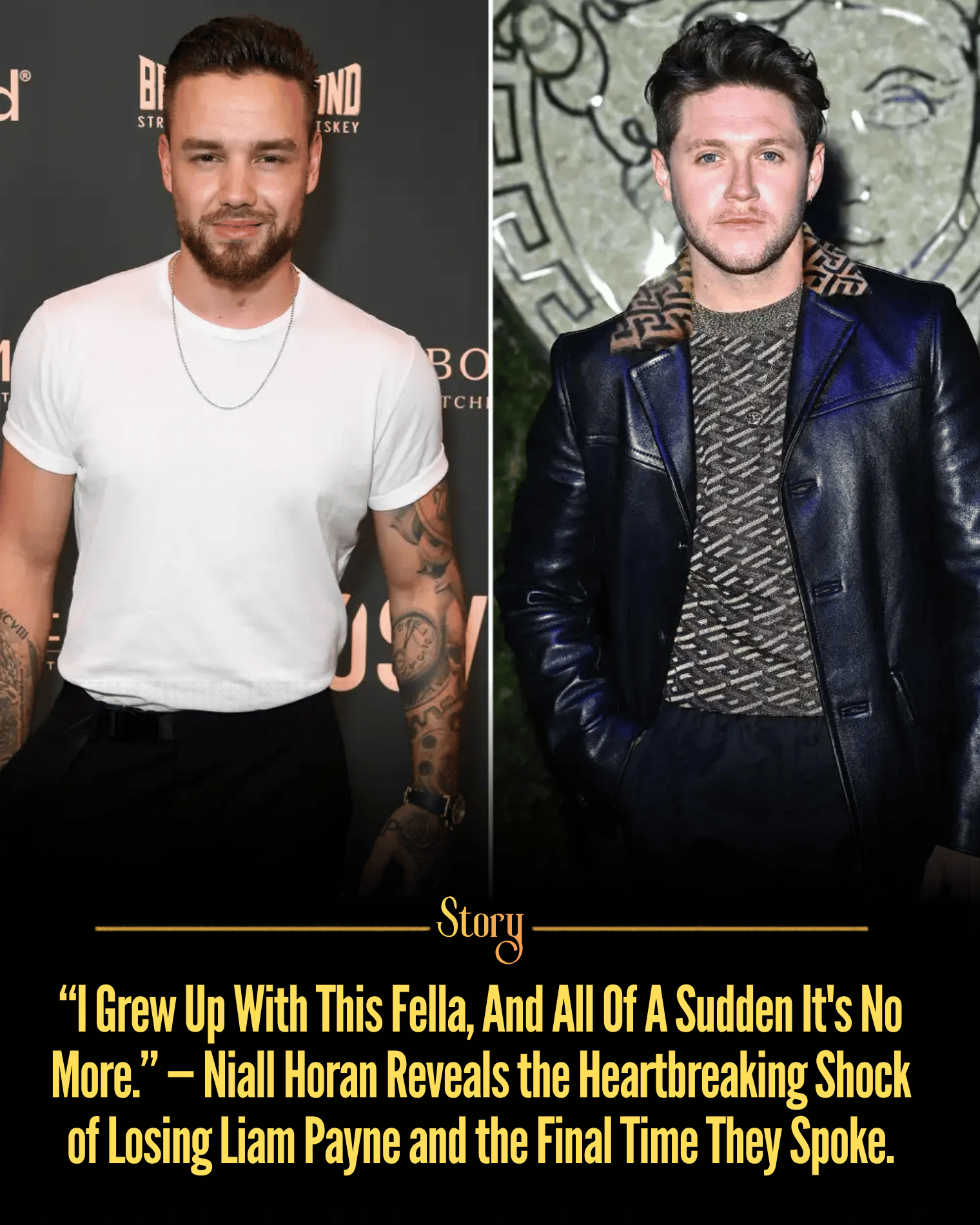 “I Grew Up With This Fella, And All Of A Sudden It’s No More.” — Niall Horan Reveals the Heartbreaking Shock of Losing Liam Payne and the Final Time They Spoke.