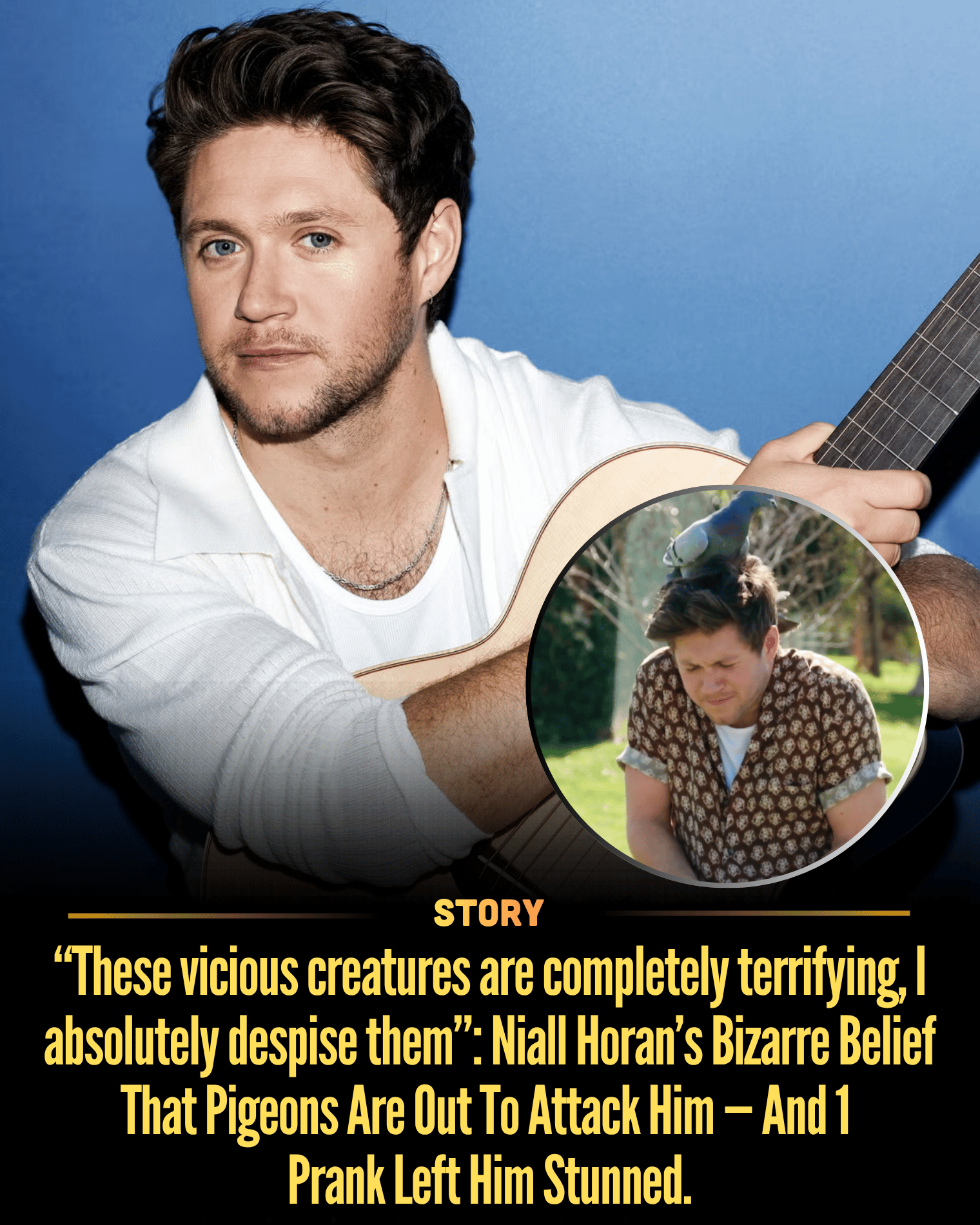“These vicious creatures are completely terrifying, I absolutely despise them”: Niall Horan’s Bizarre Belief That Pigeons Are Out To Attack Him — And 1 Prank Left Him Stunned.