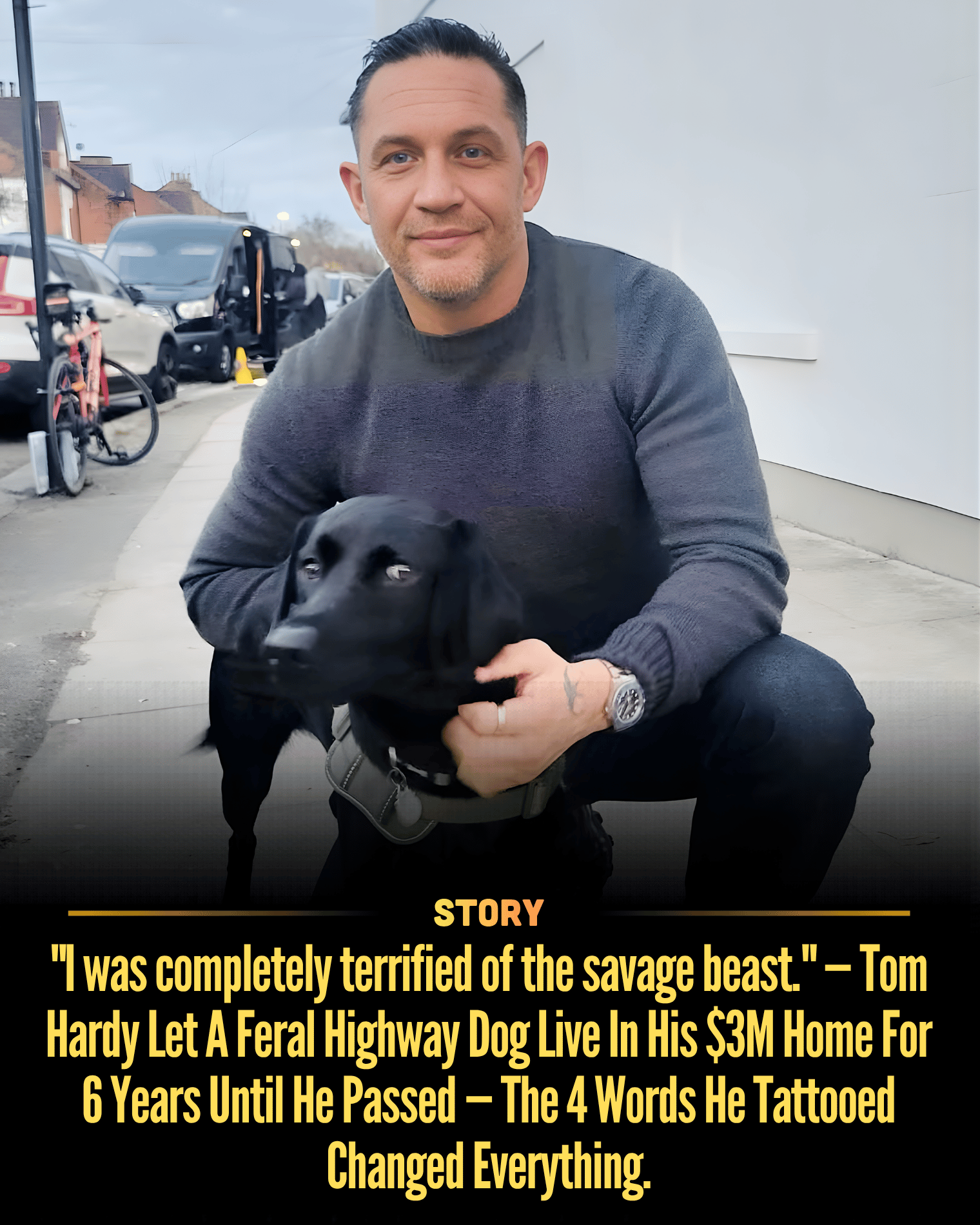“I was completely terrified of the savage beast.” — Tom Hardy Let A Feral Highway Dog Live In His $3M Home For 6 Years Until He Passed — The 4 Words He Tattooed Changed Everything.