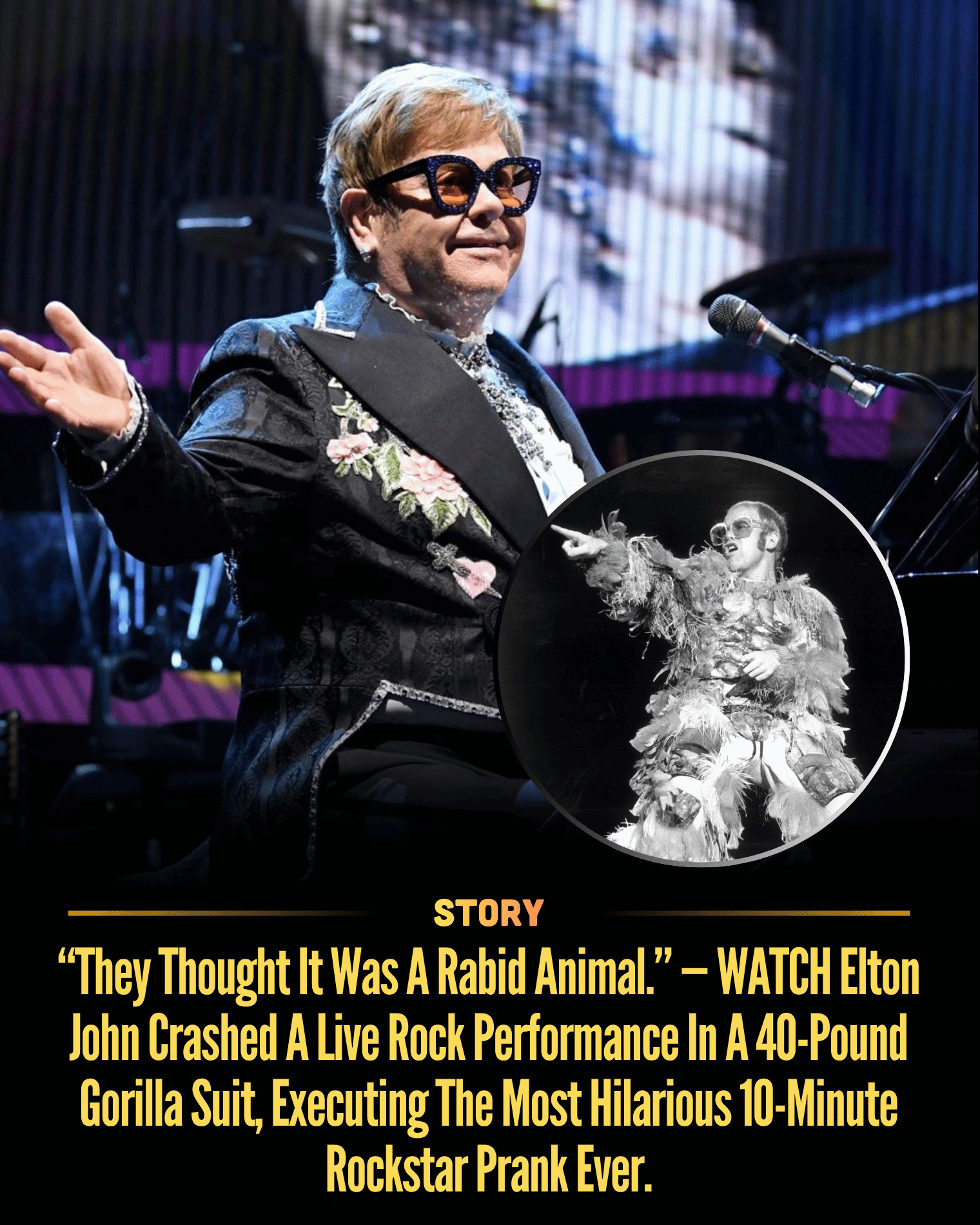 “They Thought It Was A Rabid Animal.” — WATCH Elton John Crashed A Live Rock Performance In A 40-Pound Gorilla Suit, Executing The Most Hilarious 10-Minute Rockstar Prank Ever.