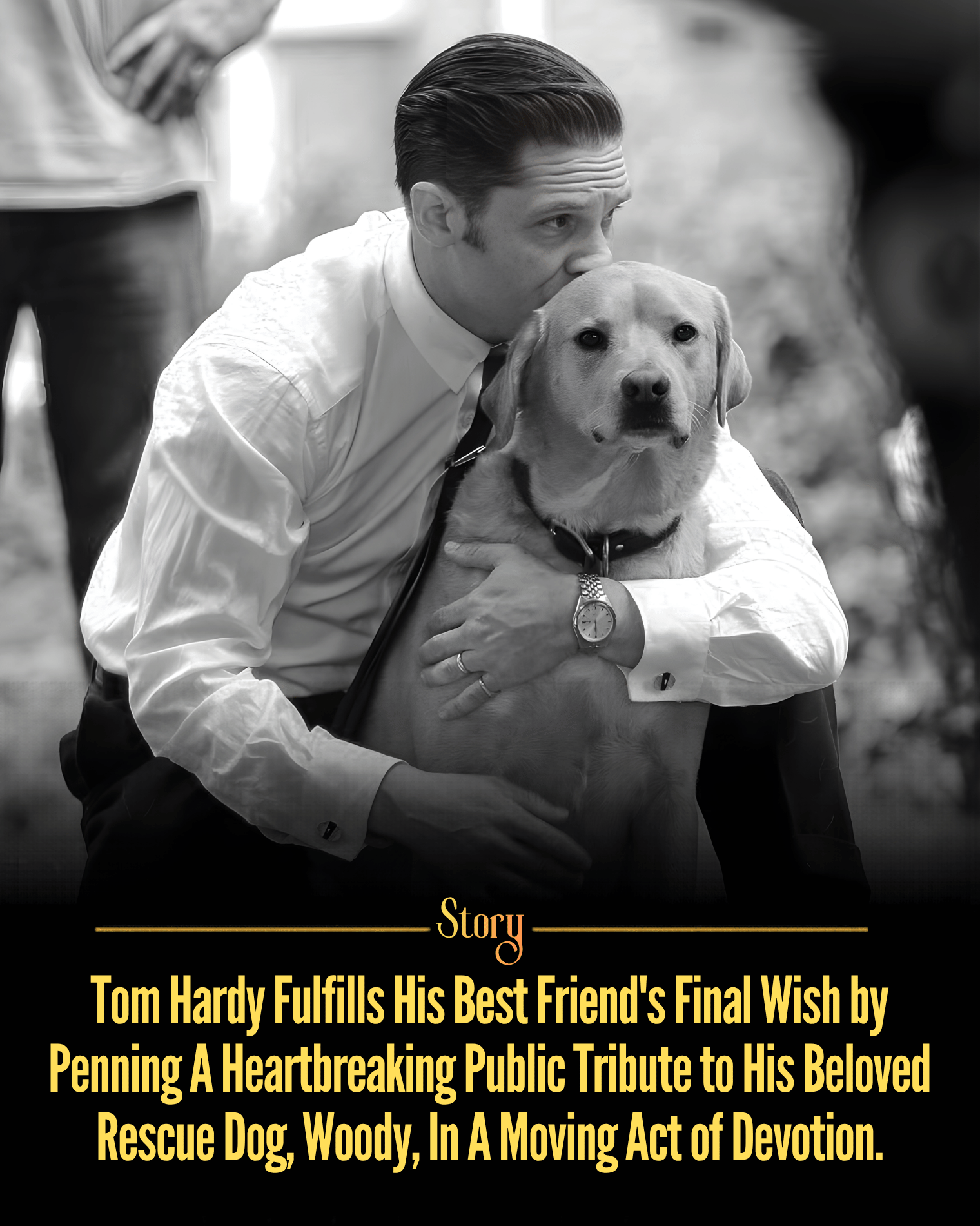 Tom Hardy Fulfills His Best Friend’s Final Wish by Penning A Heartbreaking Public Tribute to His Beloved Rescue Dog, Woody, In A Moving Act of Devotion.