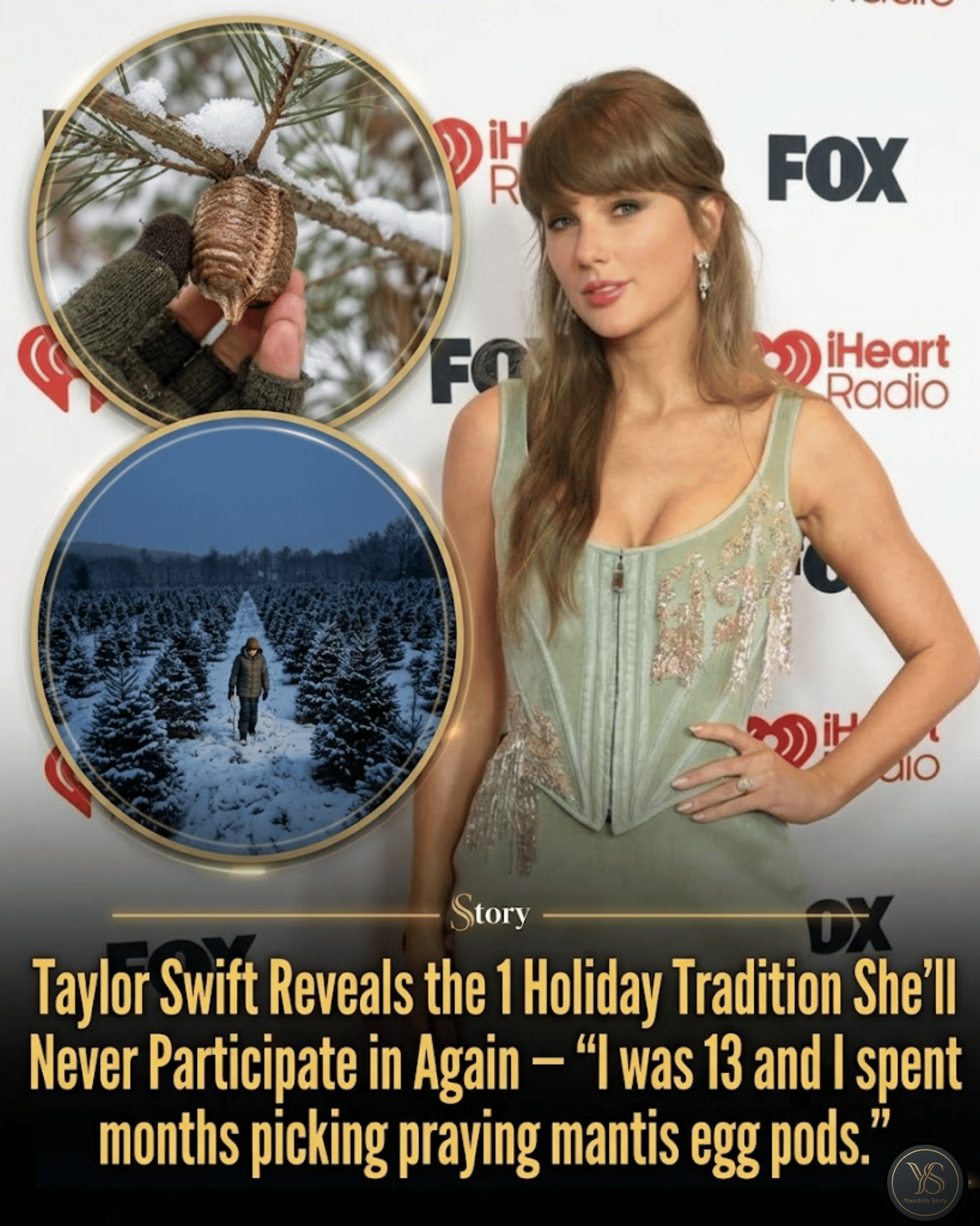 Taylor Swift Reveals the 1 Holiday Tradition She’ll Never Participate in Again — “I was 13 and I spent months picking praying mantis egg pods.”
