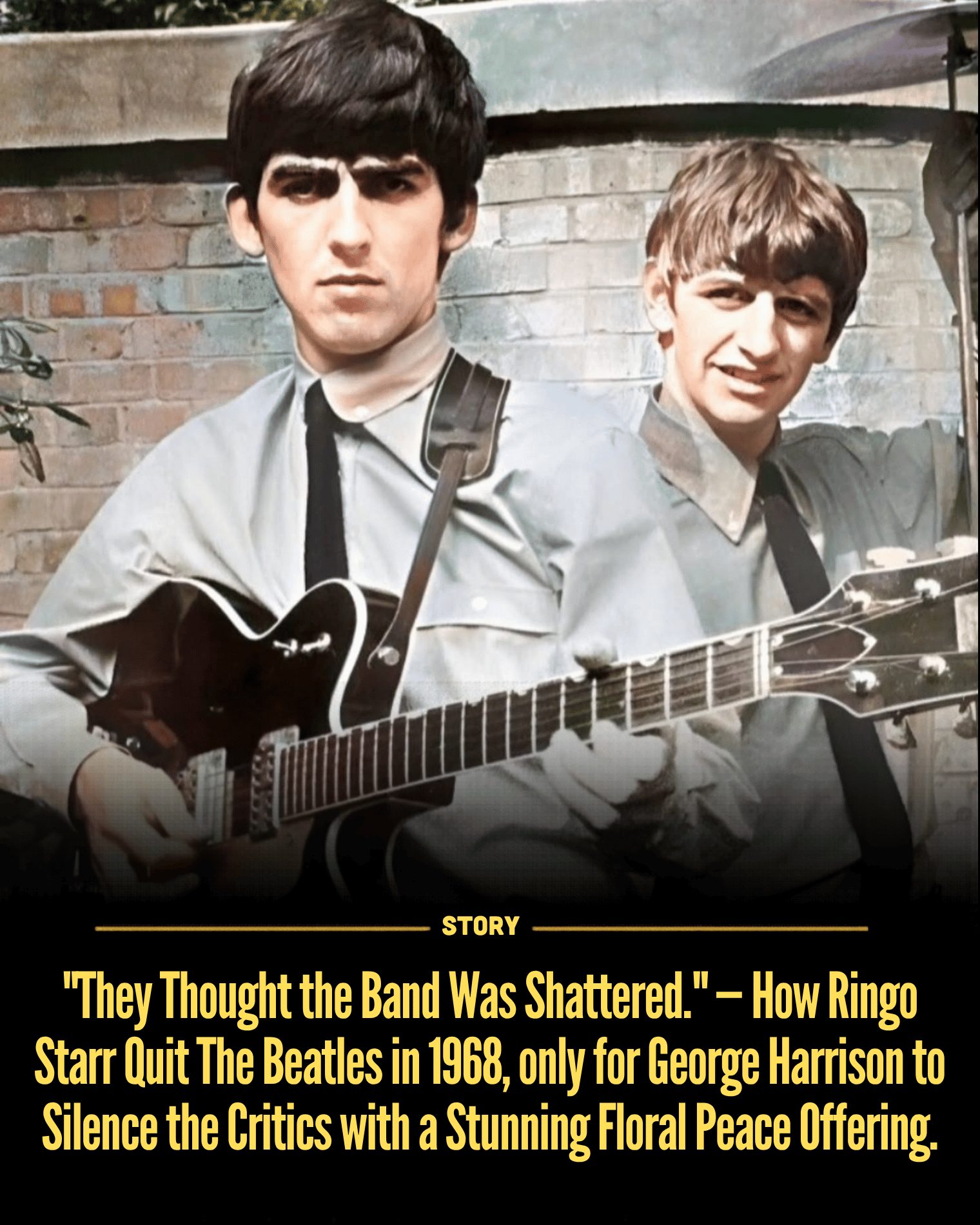 “They Thought the Band Was Shattered.” — How Ringo Starr Quit The Beatles in 1968, only for George Harrison to Silence the Critics with a Stunning Floral Peace Offering.