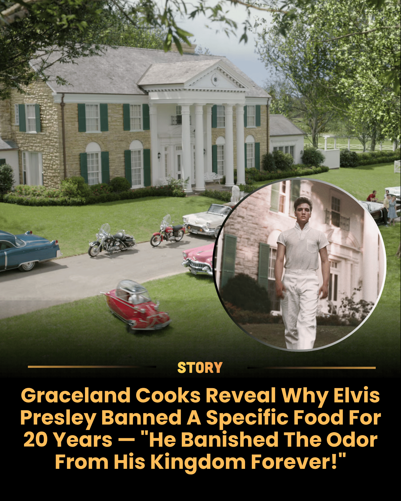 Graceland Cooks Reveal Why Elvis Presley Banned A Specific Food For 20 Years — “He Banished The Odor From His Kingdom Forever!”