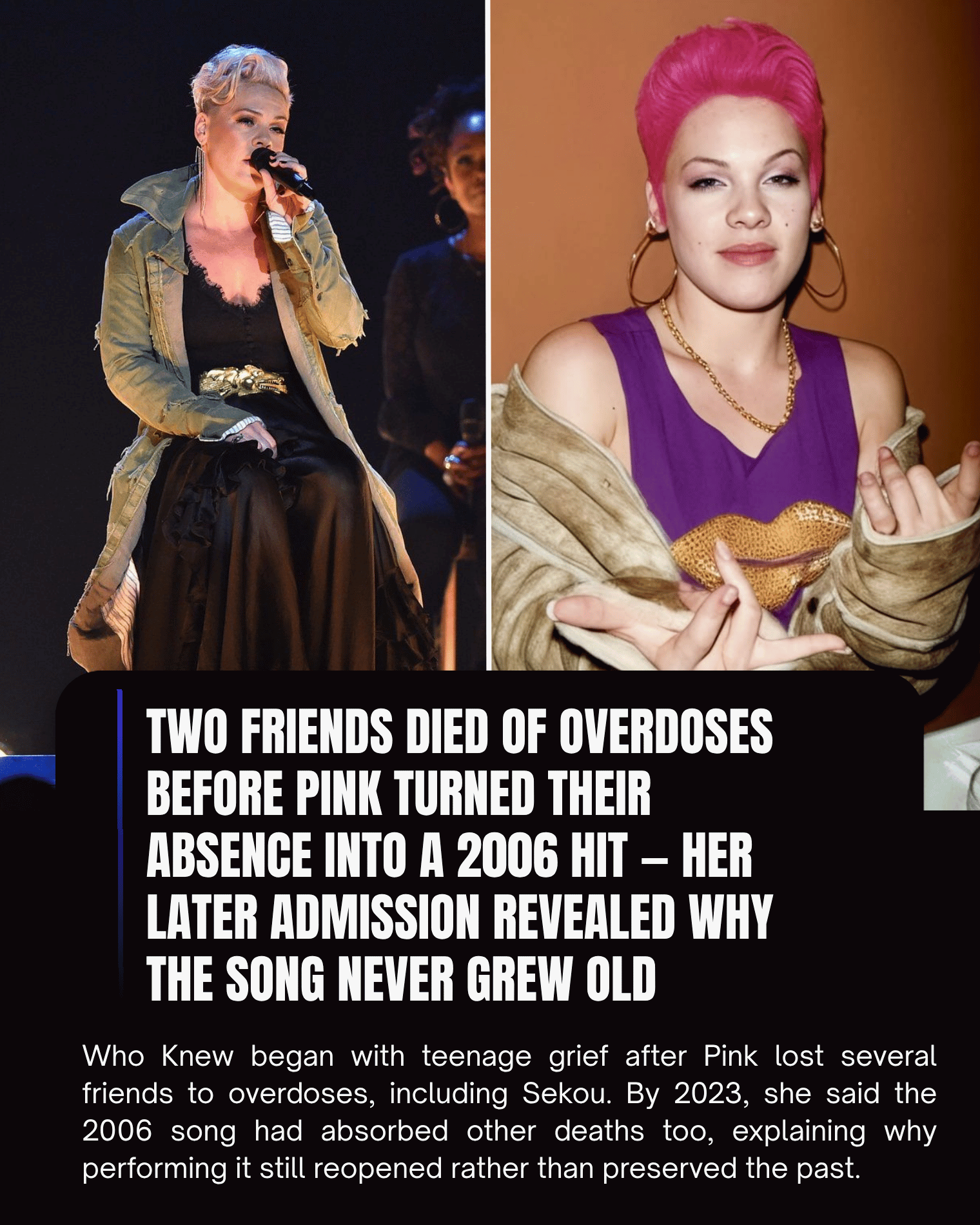 Two Friends Died of Overdoses Before Pink Turned Their Absence Into a 2006 Hit — Her Later Admission Revealed Why the Song Never Grew Old.